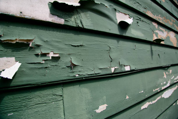 Best Insulated Siding Installation  in Colton, CA
