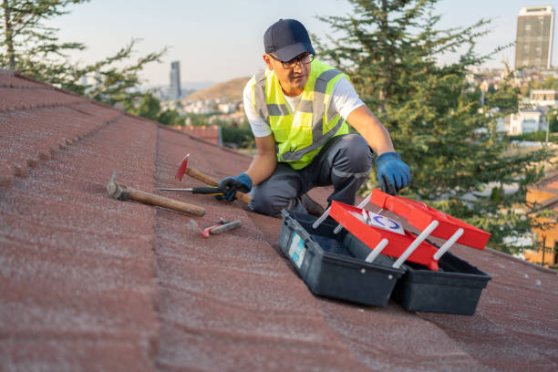 Best Siding Removal and Disposal  in Colton, CA